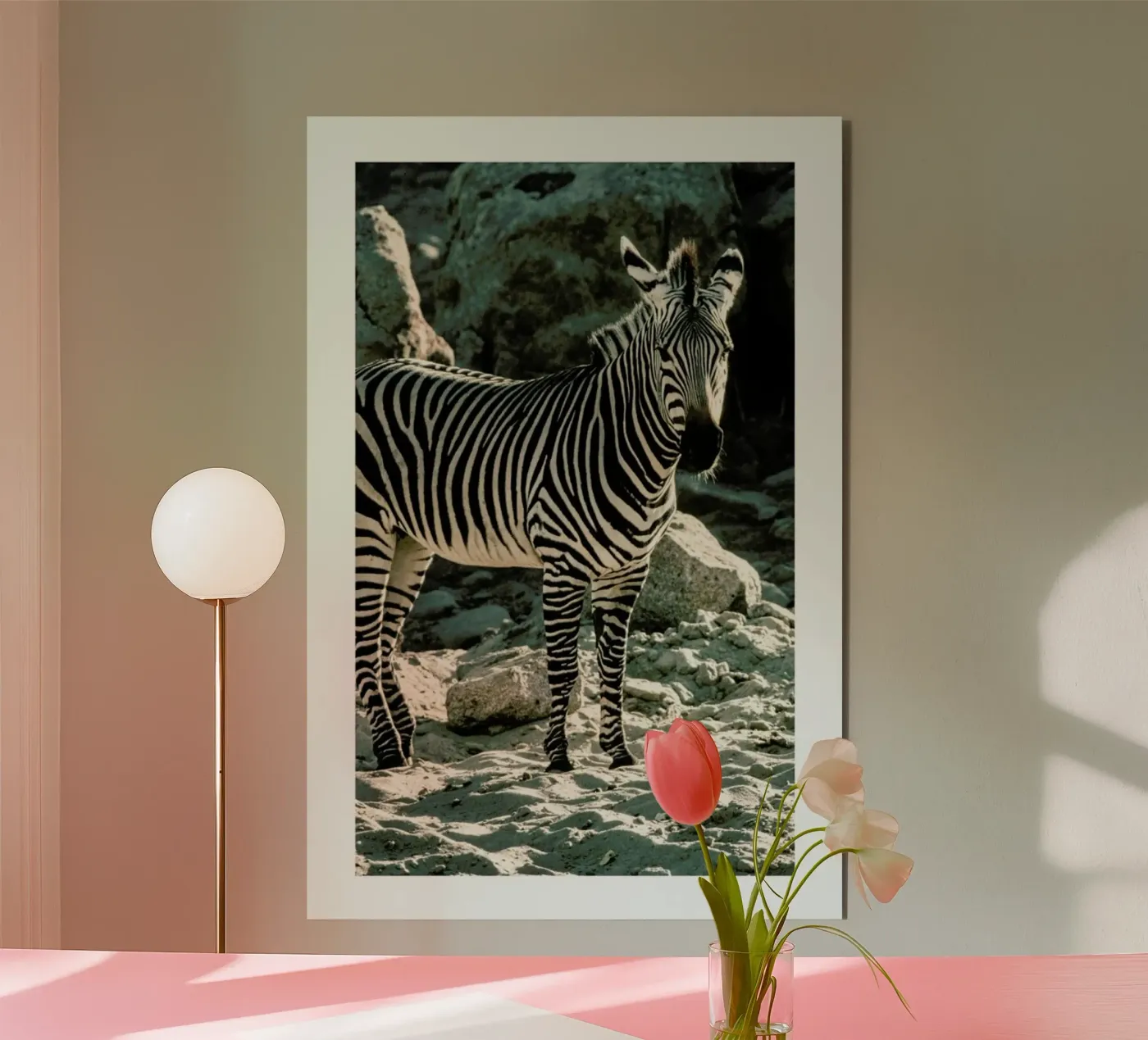 Zebra forex plate by Natural Kingdom