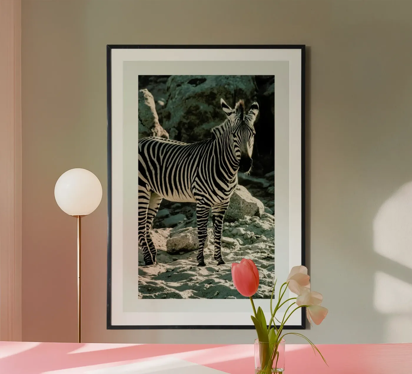 Zebra poster de Natural Kingdom