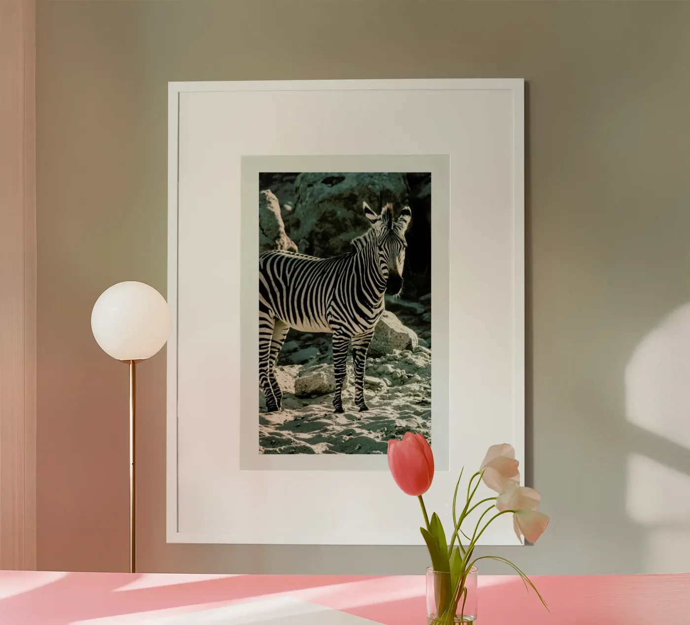 Zebra poster de Natural Kingdom