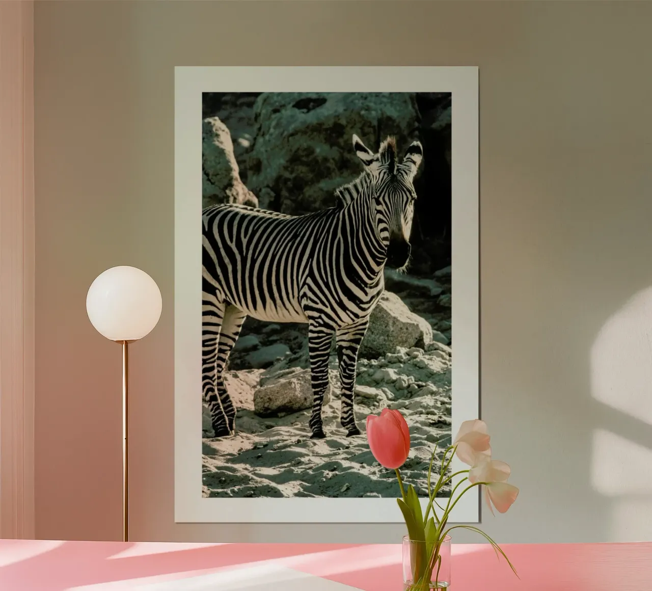 Zebra Poster von Natural Kingdom