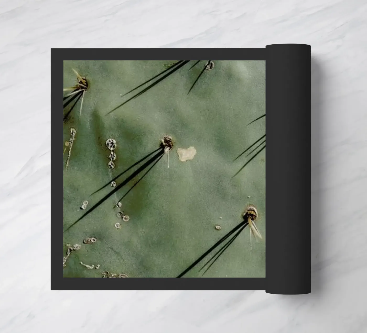 Prickle deurmat van Chris Abatzis