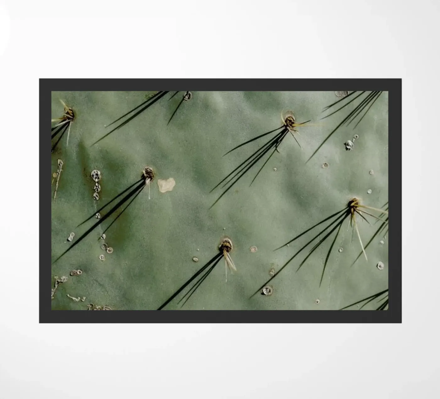 Prickle deurmat van Chris Abatzis