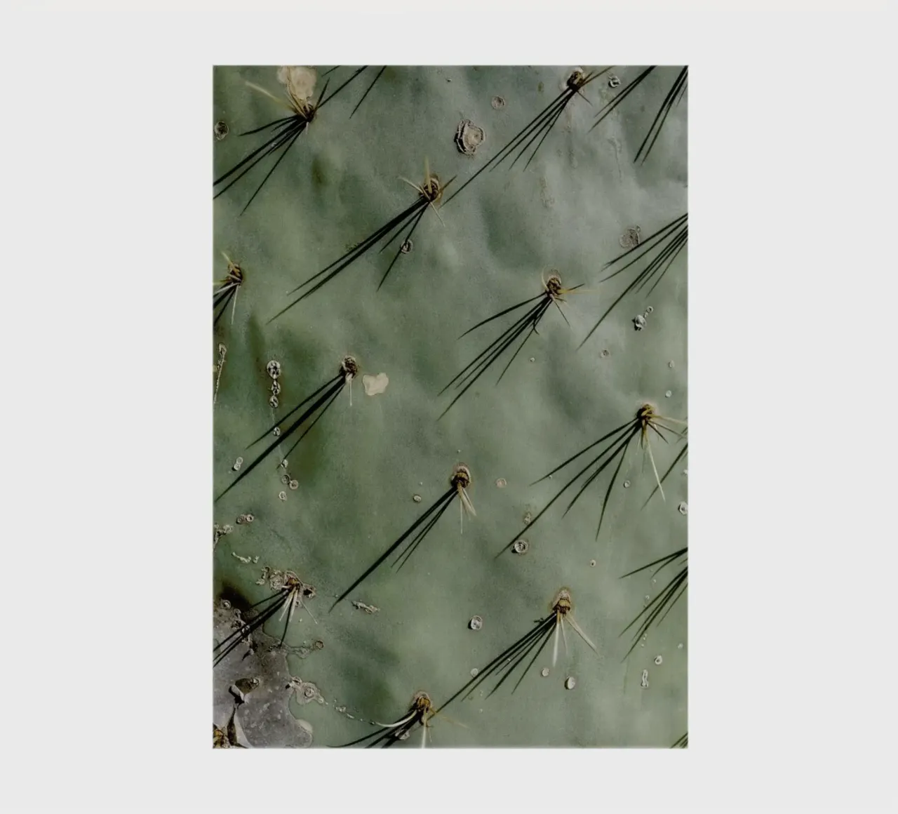 Prickle notebook by Chris Abatzis