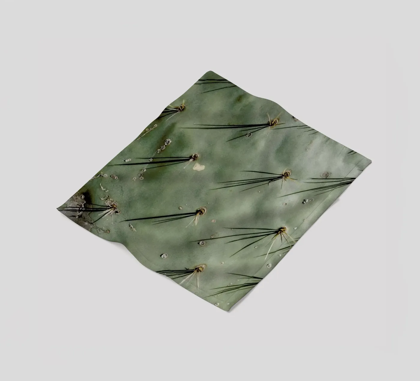 Prickle Fleecedecke von Chris Abatzis