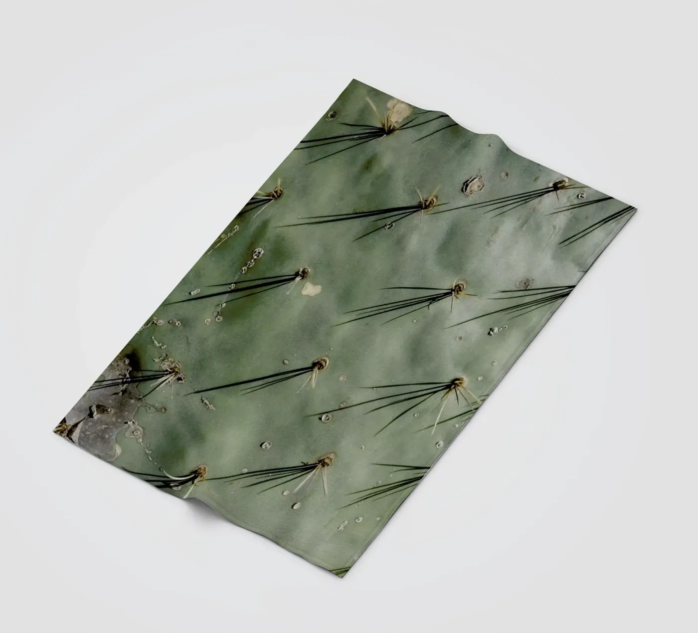 Prickle Fleecedecke von Chris Abatzis