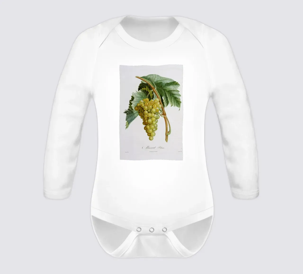 Turpin - White Grape Muscat Blanc long-sleeve baby romper by ARTOTHEK