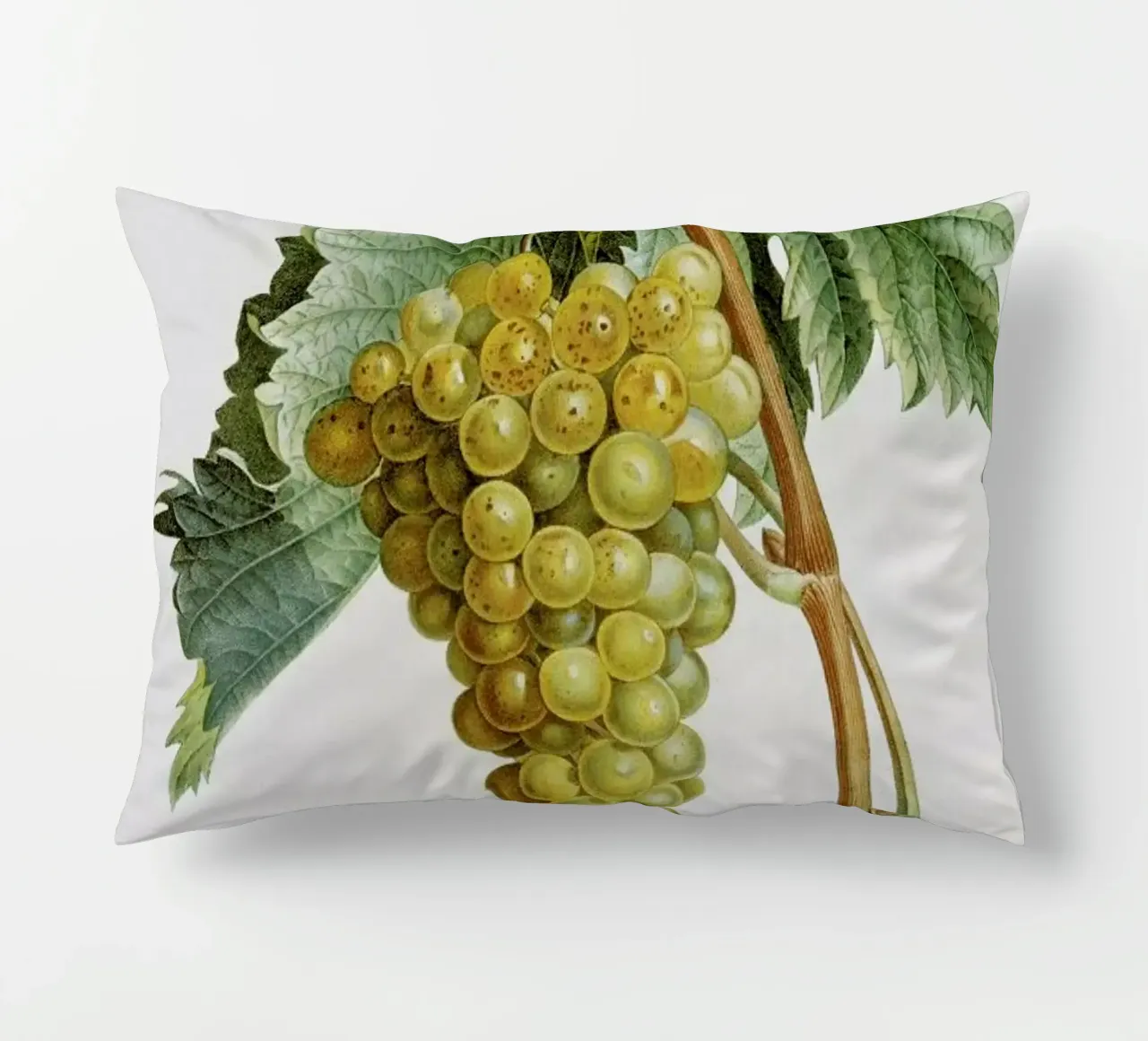 Turpin - White Grape Muscat Blanc cuscino da ARTOTHEK