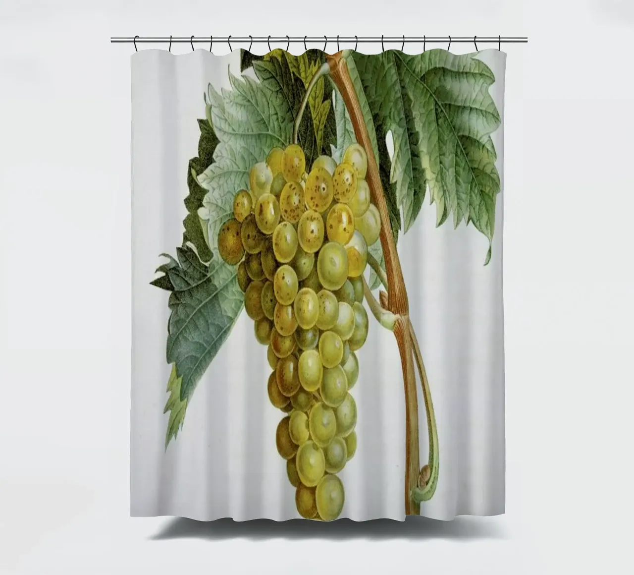 Turpin - White Grape Muscat Blanc tenda da doccia da ARTOTHEK