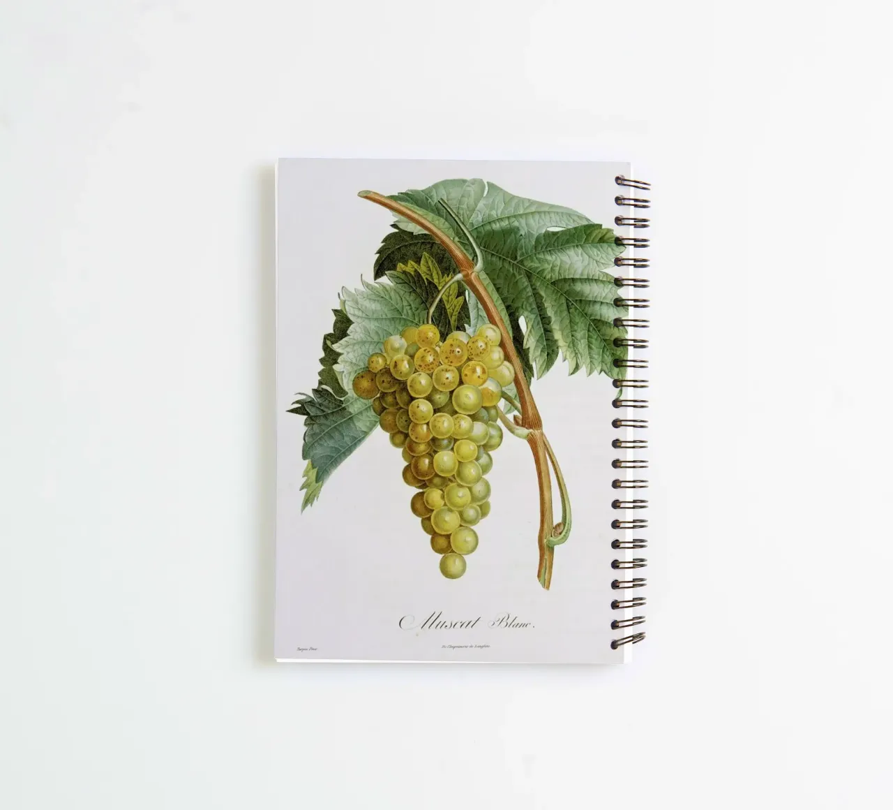 Turpin - White Grape Muscat Blanc spiral notebook by ARTOTHEK