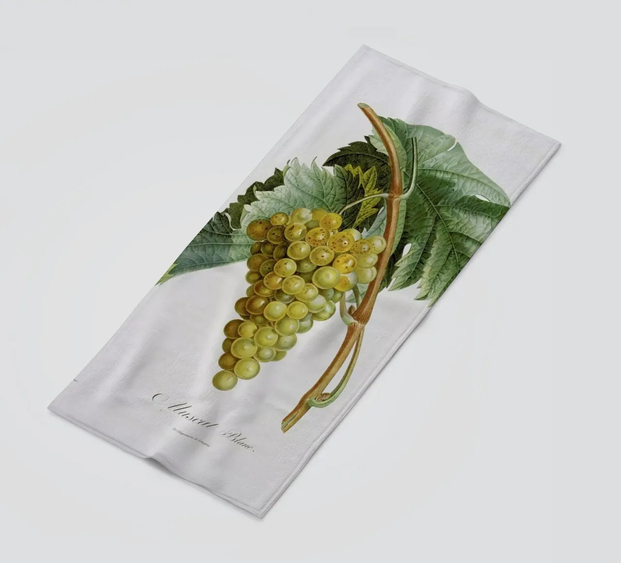 Turpin - White Grape Muscat Blanc telo mare da ARTOTHEK