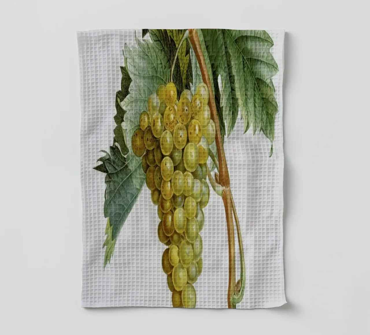 Turpin - White Grape Muscat Blanc canovaccio da cucina da ARTOTHEK