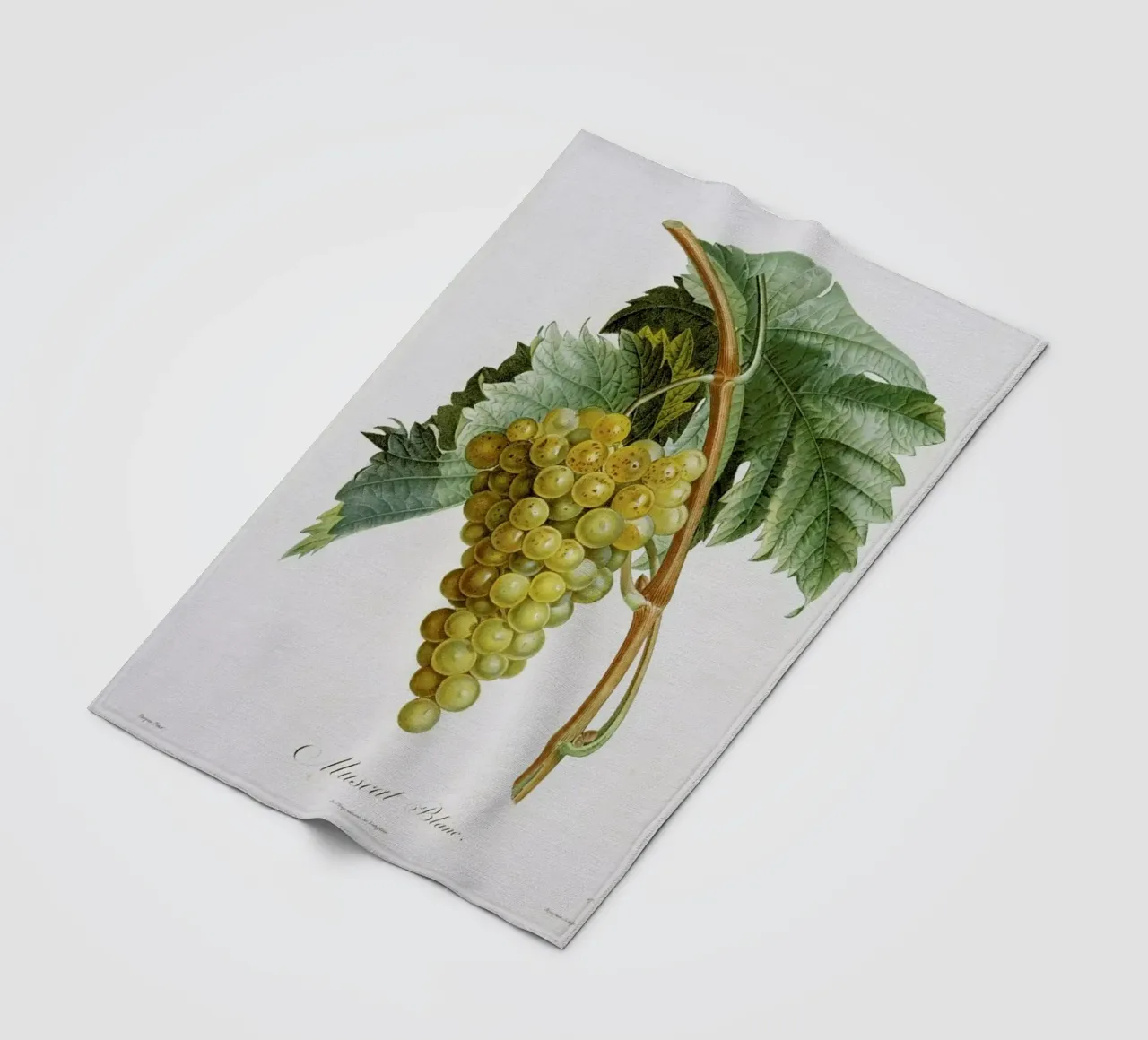 Turpin - White Grape Muscat Blanc coperta in pile da ARTOTHEK