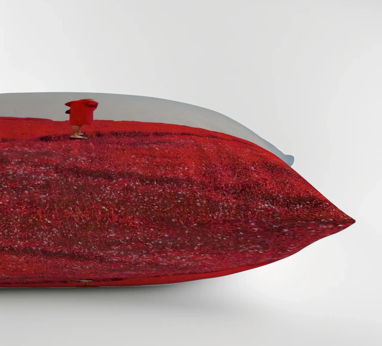 Everything was Red cuscino da Frank Moth