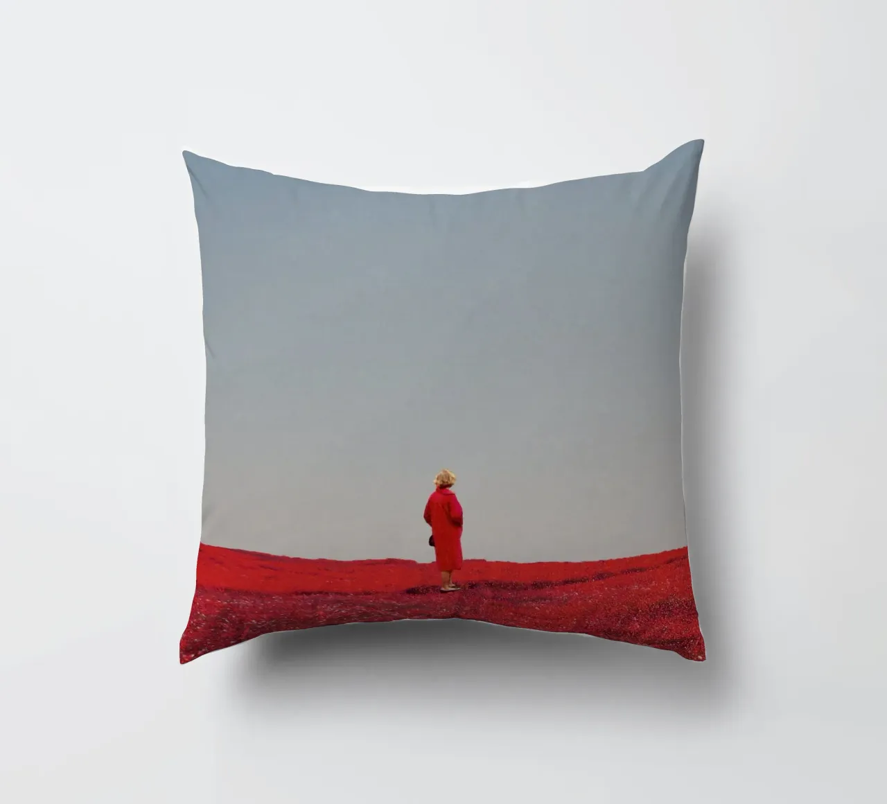 Everything was Red cuscino da Frank Moth