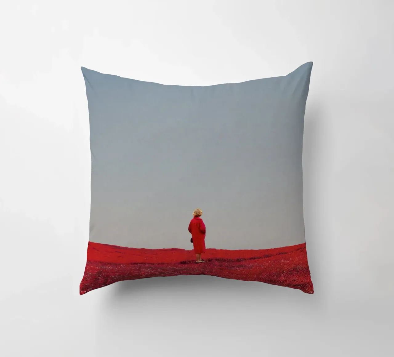 Everything was Red cuscino da Frank Moth