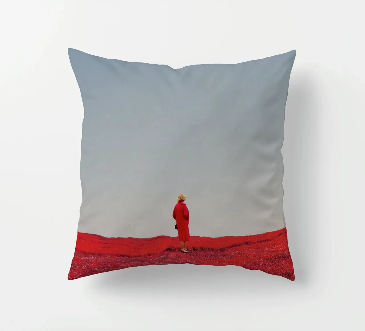 Everything was Red cuscino da Frank Moth