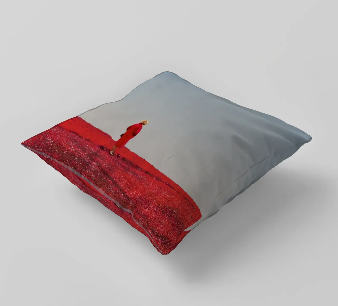 Everything was Red cuscino da Frank Moth