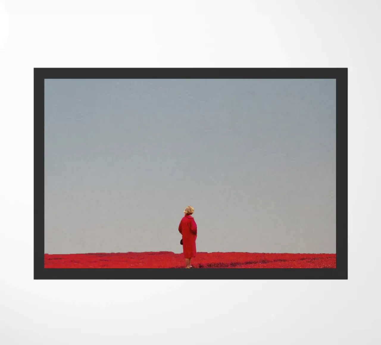 Everything was Red zerbino da Frank Moth