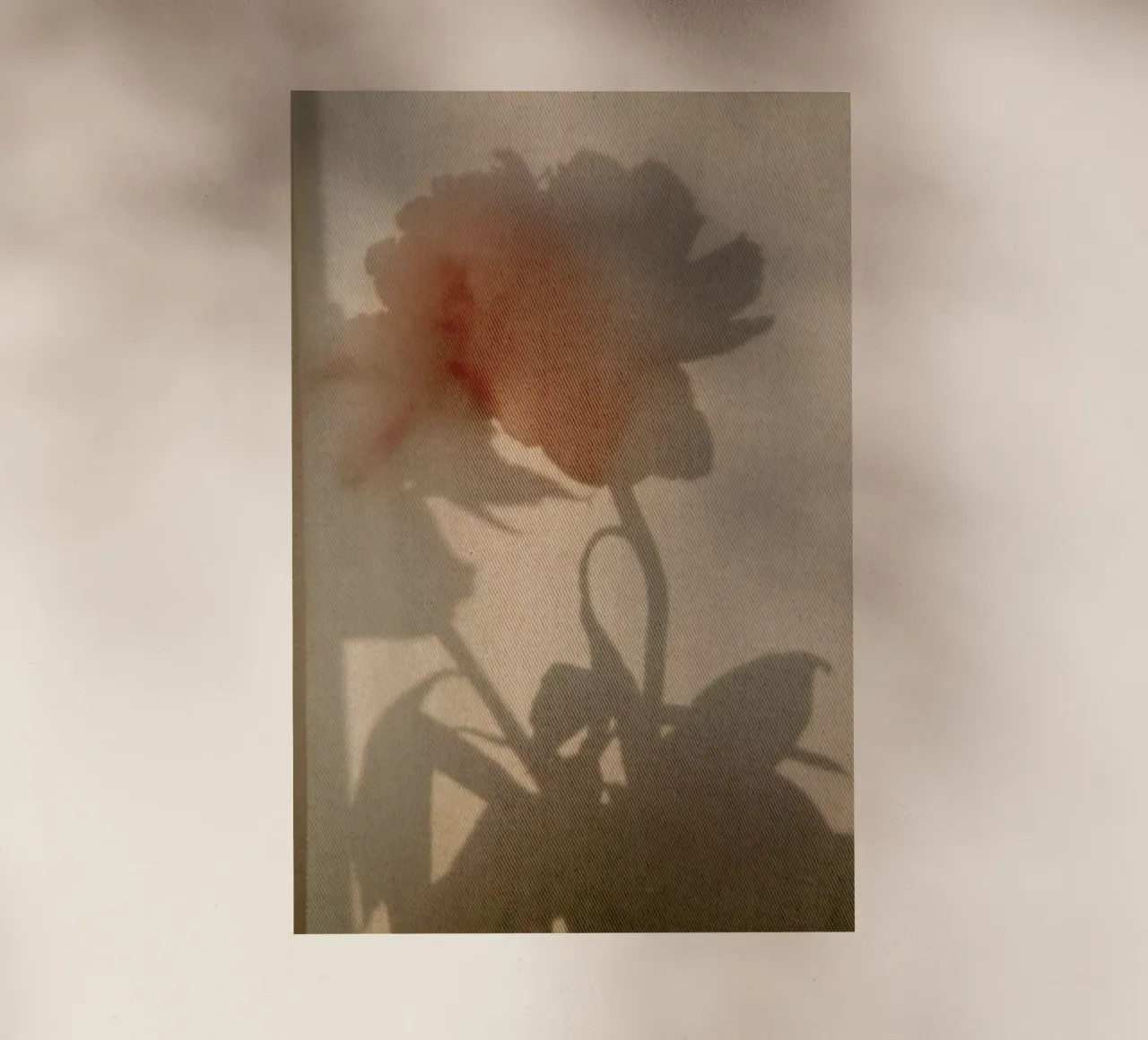 Abstract — Flower Shadow II pellicola backlit da Sebastian Hilgetag