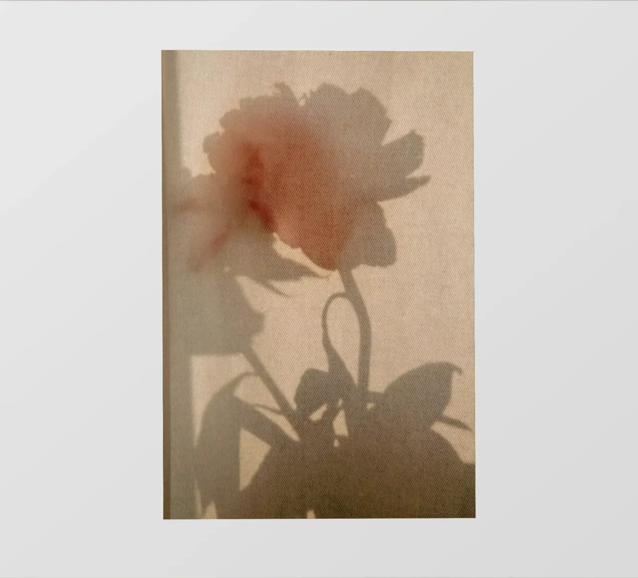 Abstract — Flower Shadow II telo in pvc da Sebastian Hilgetag