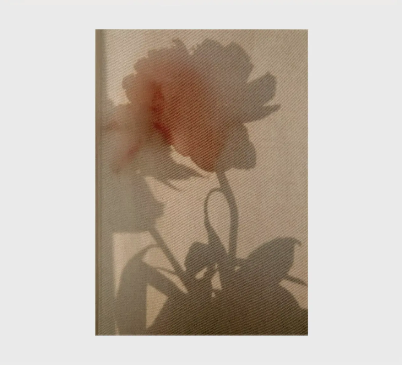 Abstract — Flower Shadow II diario da Sebastian Hilgetag