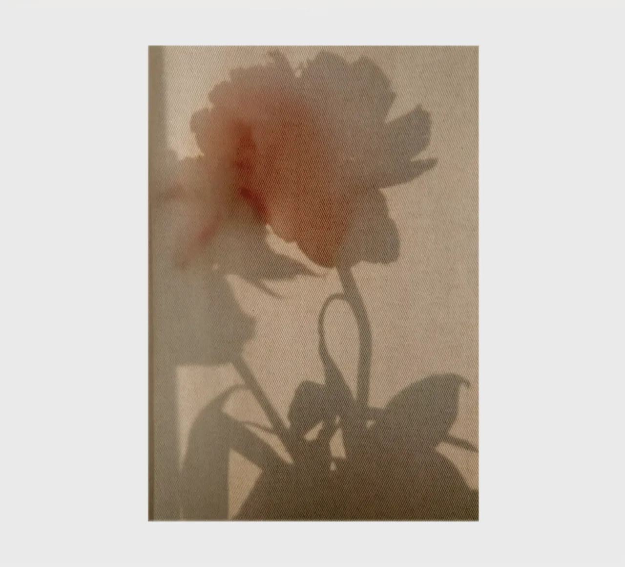 Abstract — Flower Shadow II diario da Sebastian Hilgetag