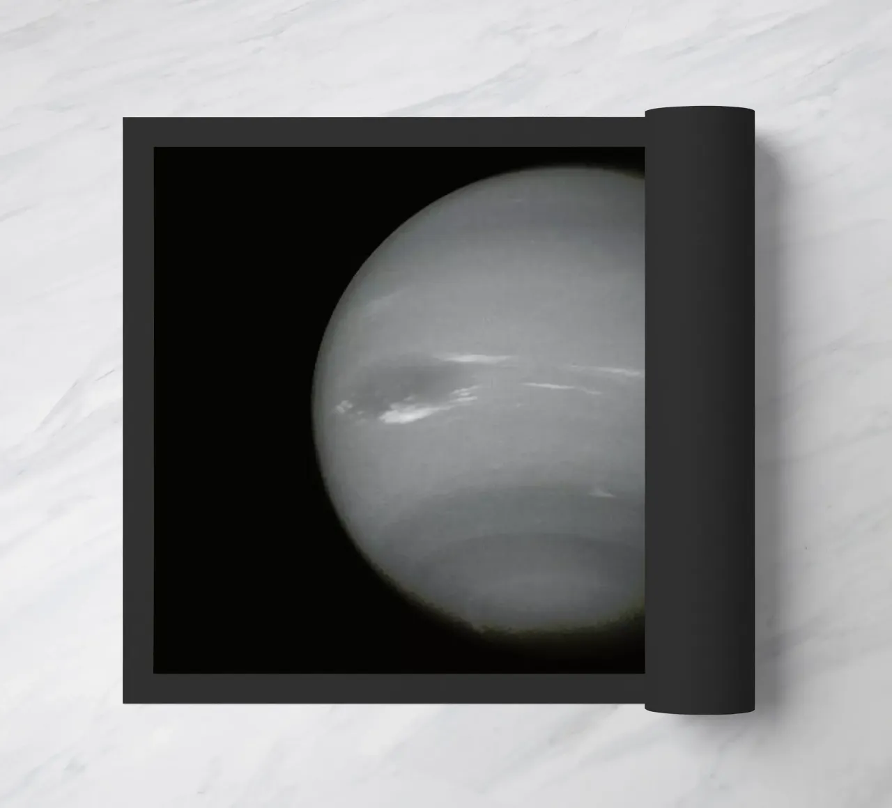 Neptune zerbino da Florent Bodart