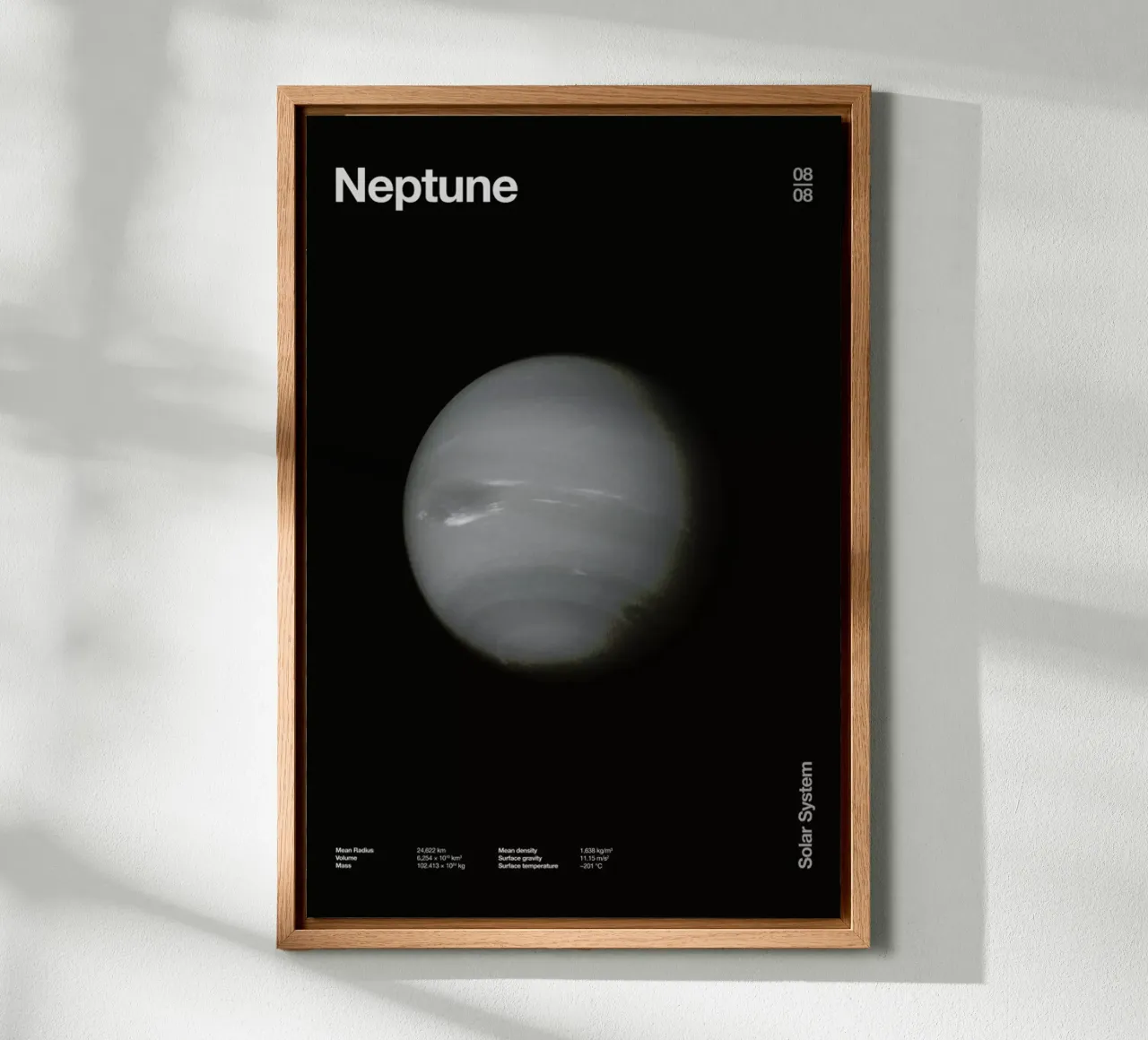Neptune canvas met Baklijst van Florent Bodart