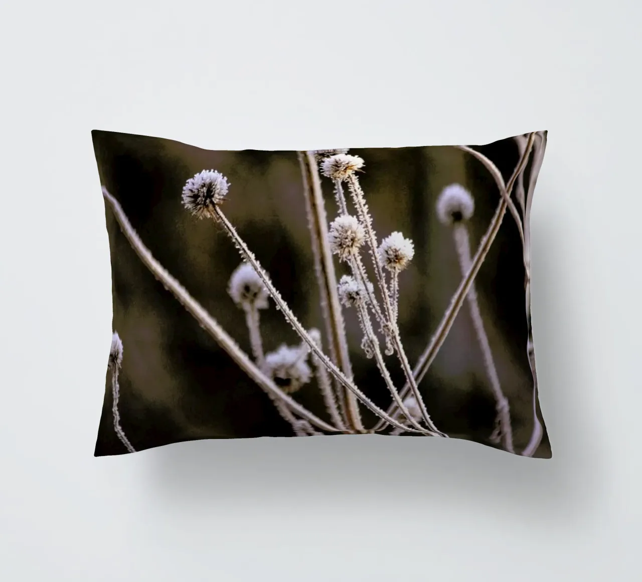 Frosted Stems cuscino da Flora & Fauna