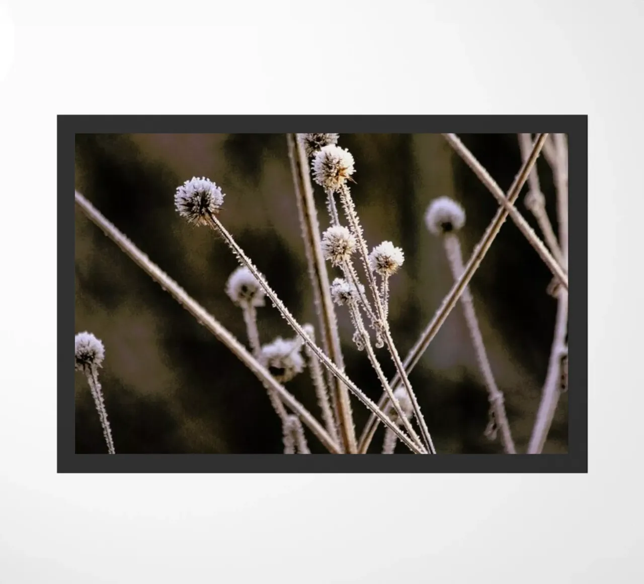 Frosted Stems zerbino da Flora & Fauna