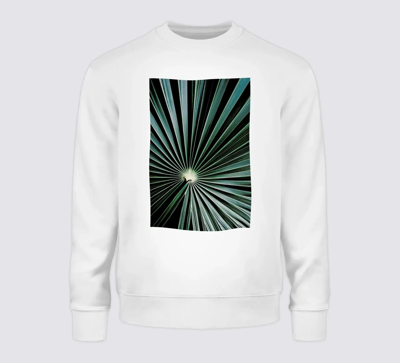 Radial sweatshirt by Flora & Fauna