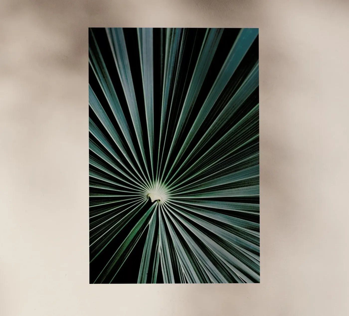 Radial pellicola backlit da Flora & Fauna