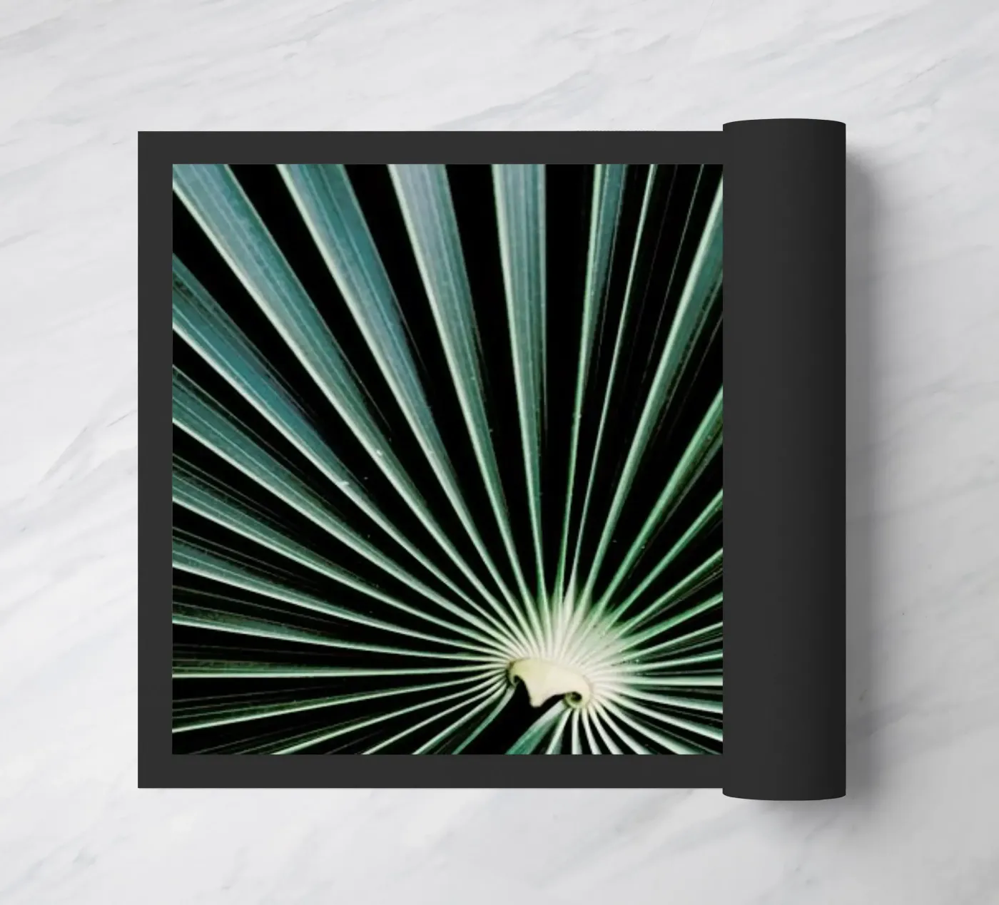 Radial zerbino da Flora & Fauna