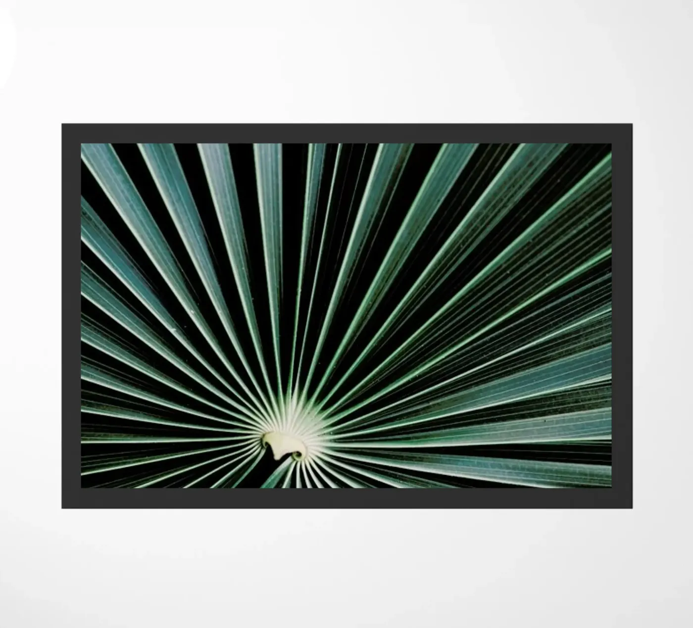 Radial zerbino da Flora & Fauna