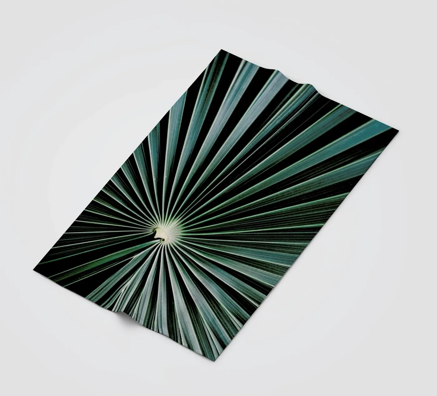 Radial fleece blanket by Flora & Fauna