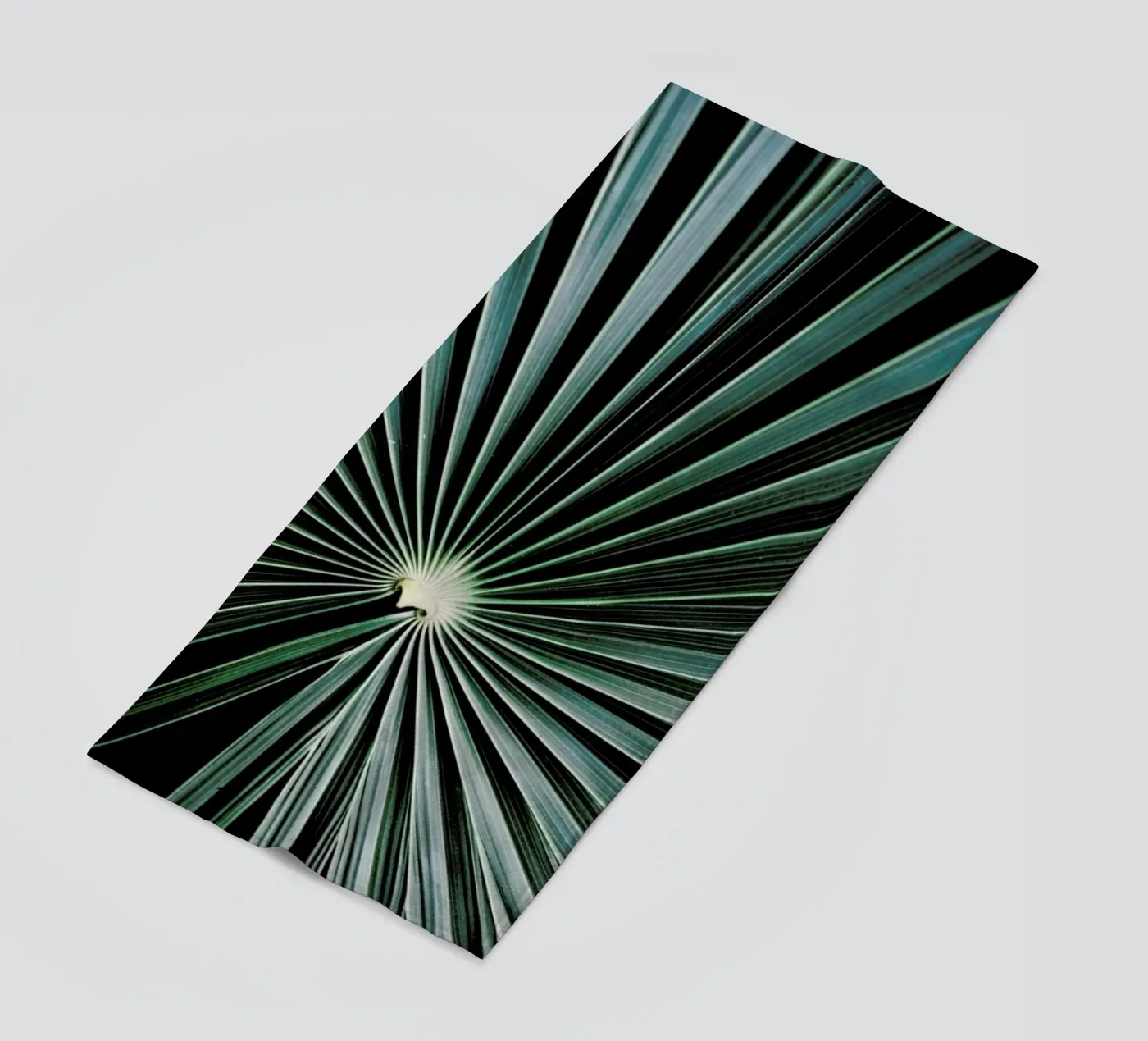 Radial telo mare da Flora & Fauna