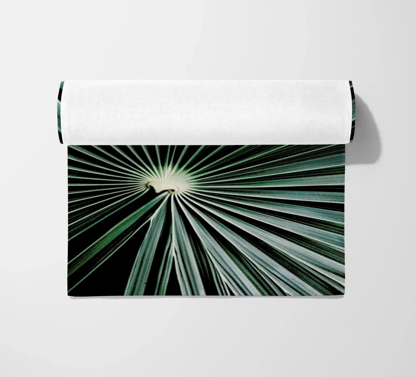 Radial telo mare da Flora & Fauna