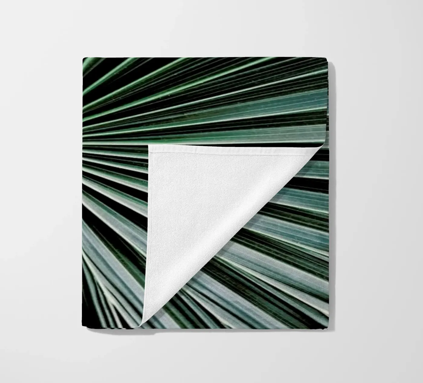 Radial telo mare da Flora & Fauna