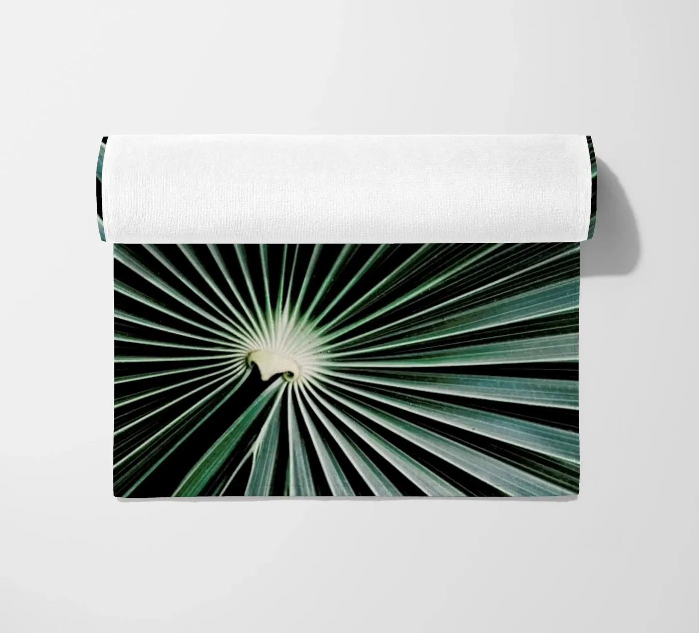 Radial telo mare da Flora & Fauna