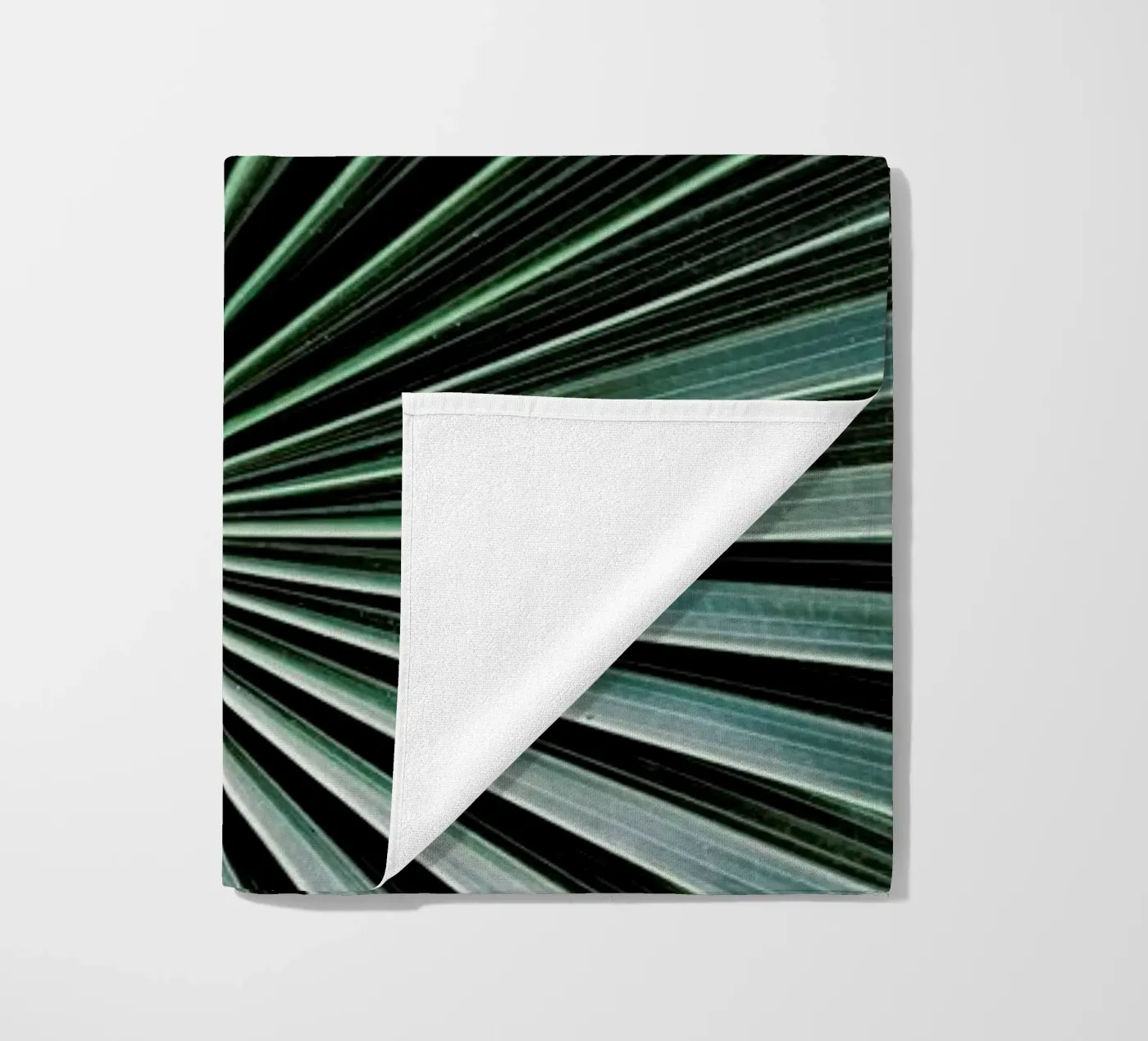 Radial telo mare da Flora & Fauna