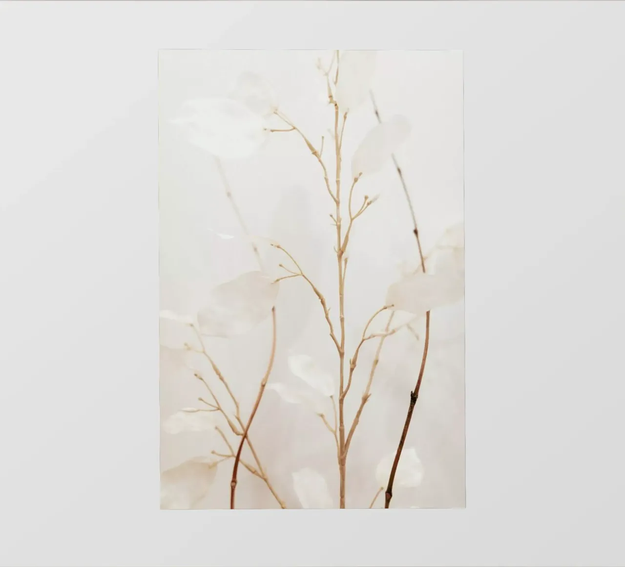 Abstract — Flowers II pellicola backlit da Sebastian Hilgetag