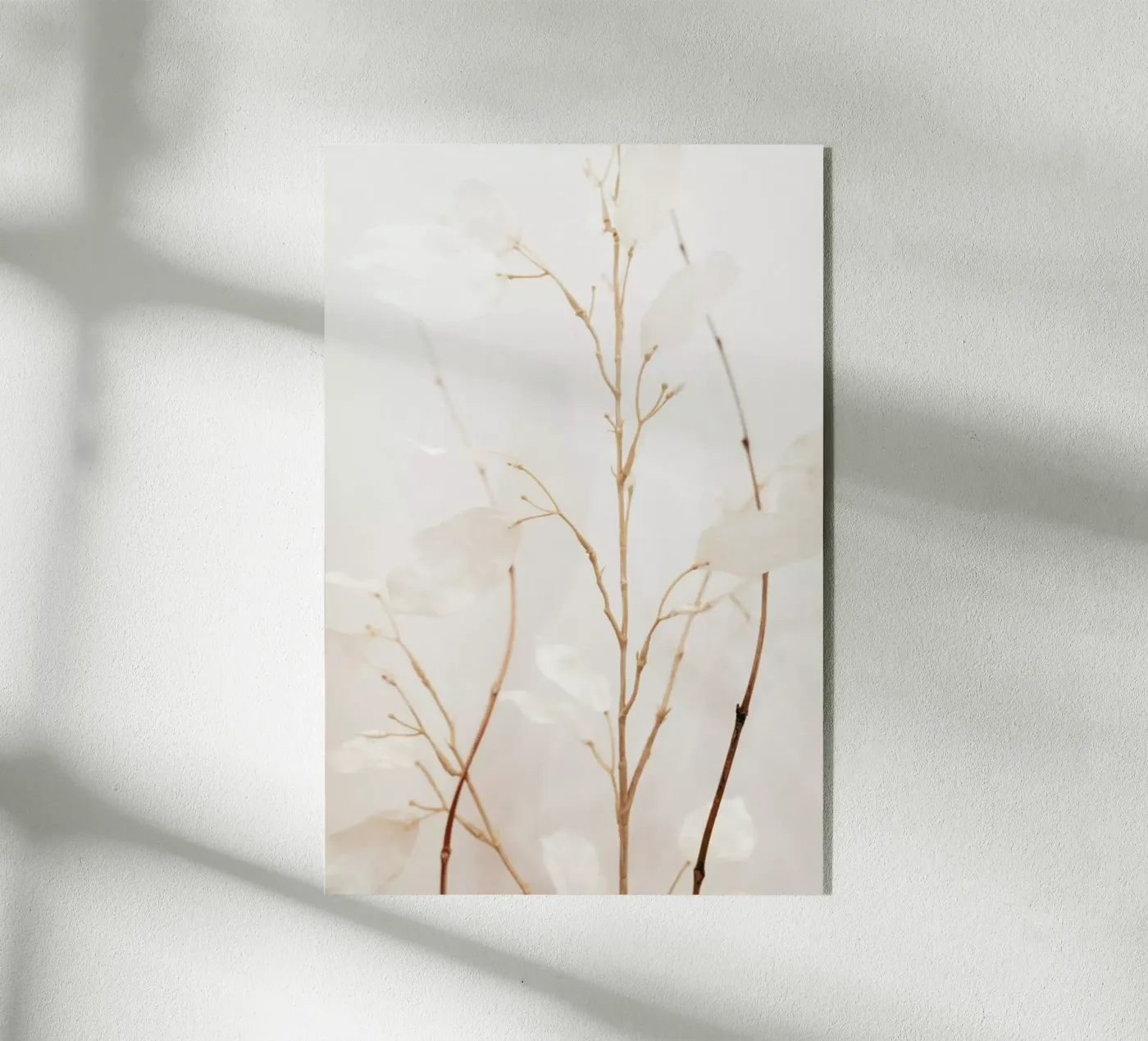 Abstract — Flowers II plexiglass da Sebastian Hilgetag