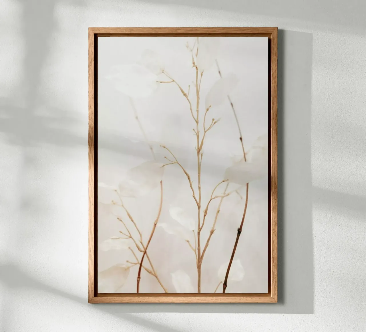 Abstract — Flowers II alluminio dibond da Sebastian Hilgetag