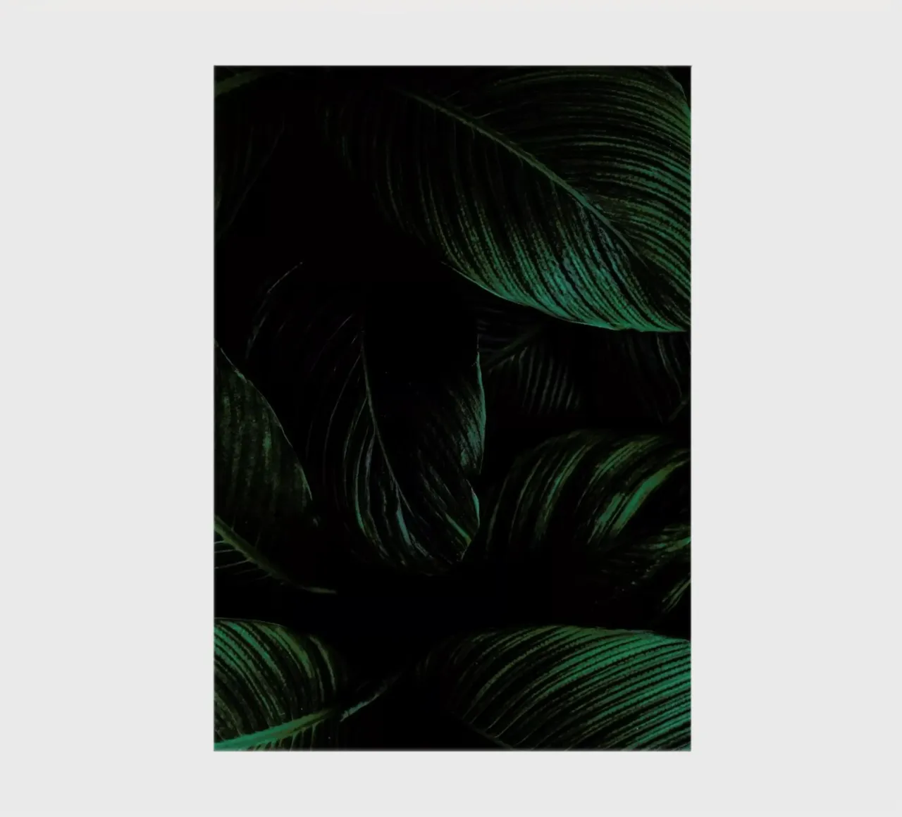 Layered Leaves diario da Flora & Fauna