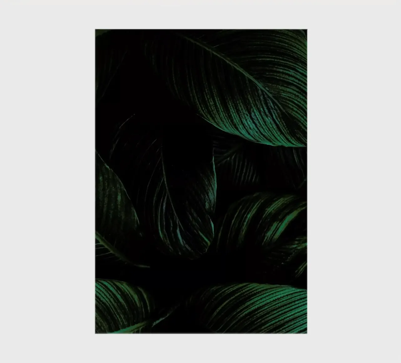 Layered Leaves diario da Flora & Fauna