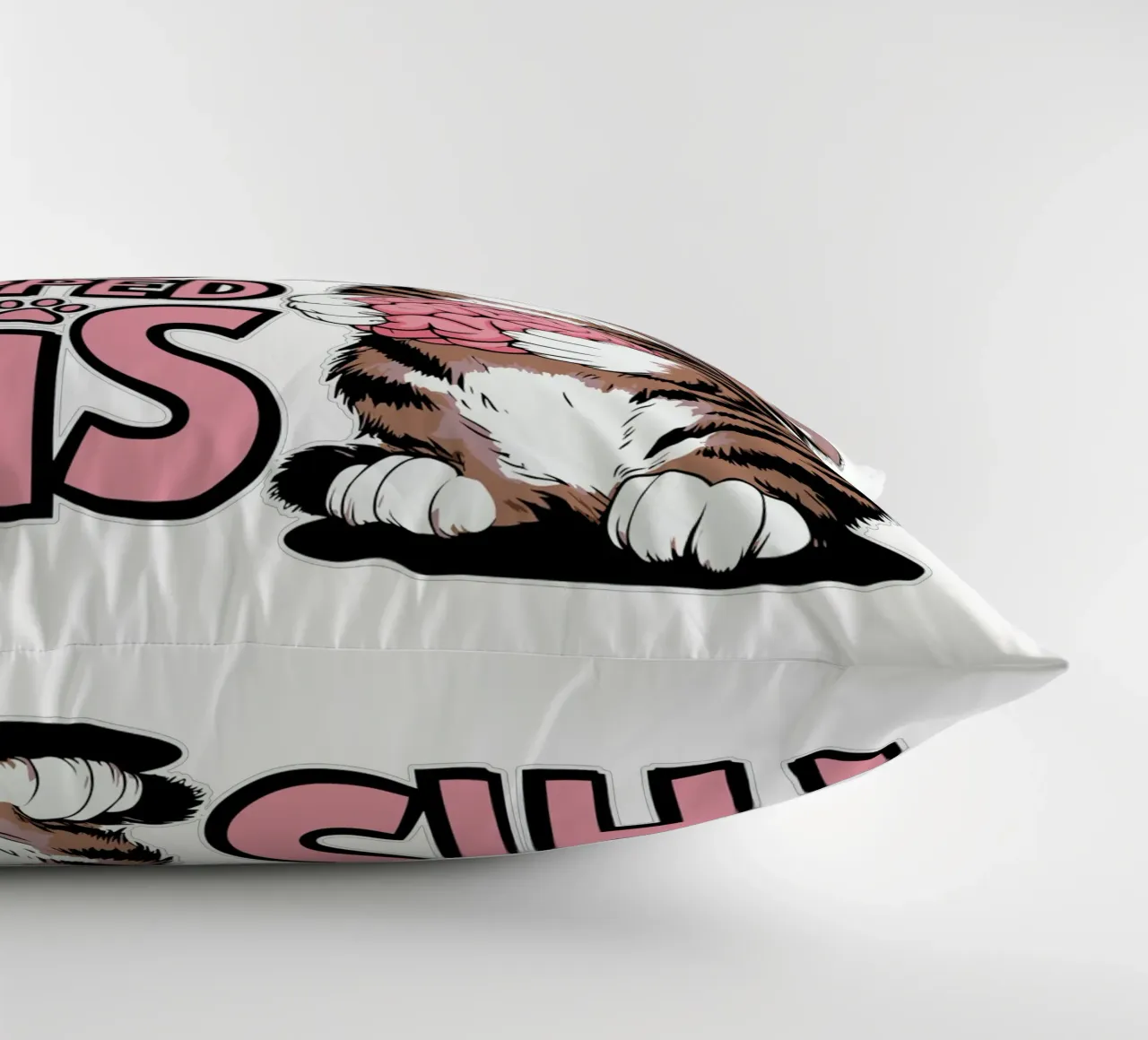 Hey, you dropped this cuscino da edsonramosart