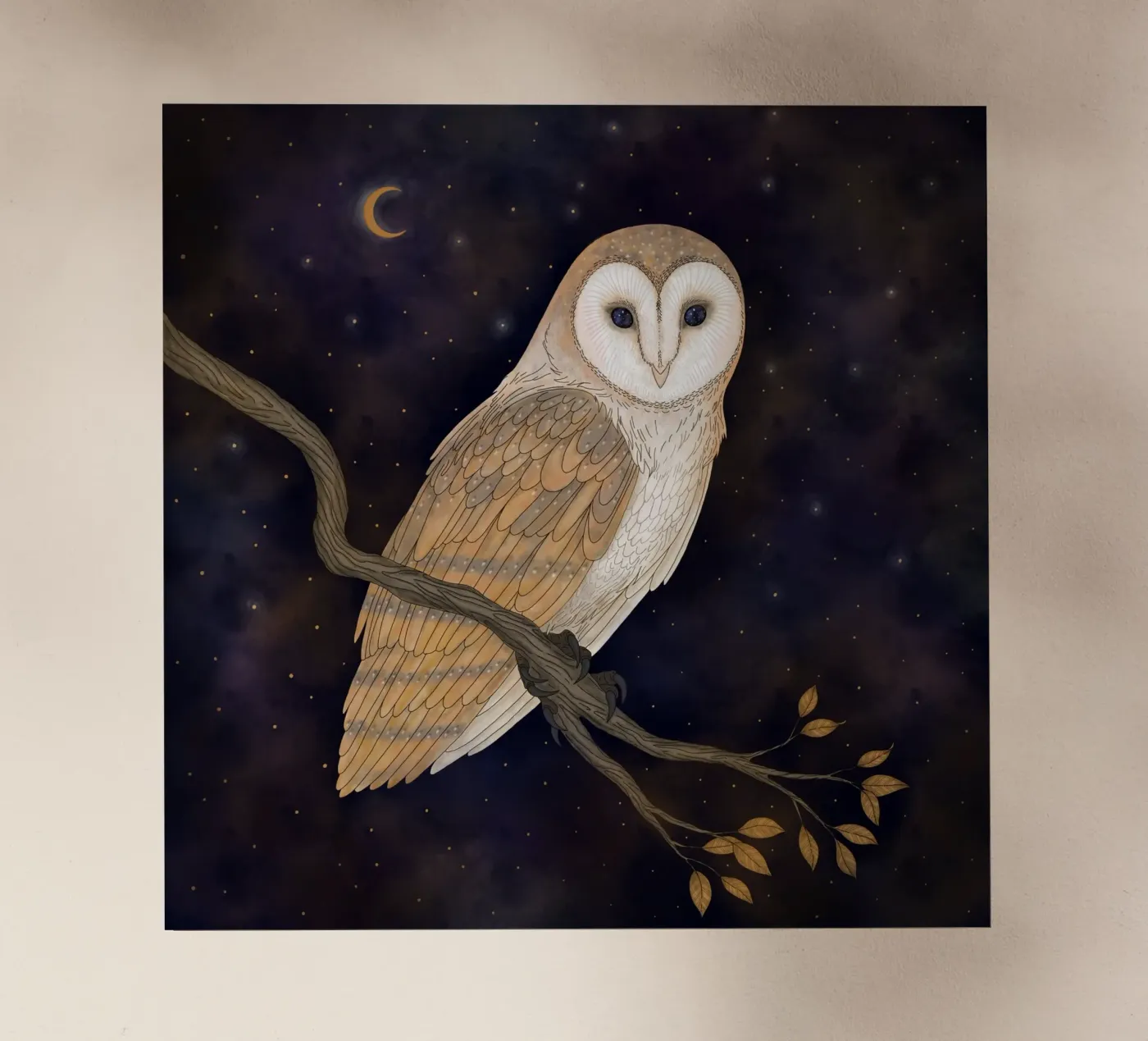 Barn Owl pellicola backlit da Vivi Nicolin