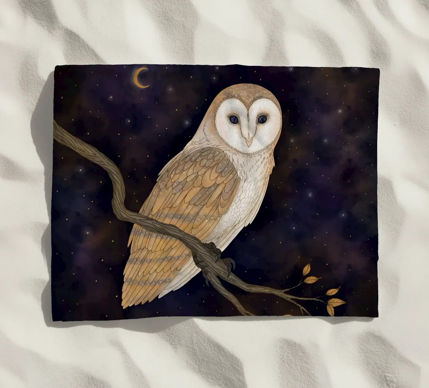 Barn Owl telo mare da Vivi Nicolin