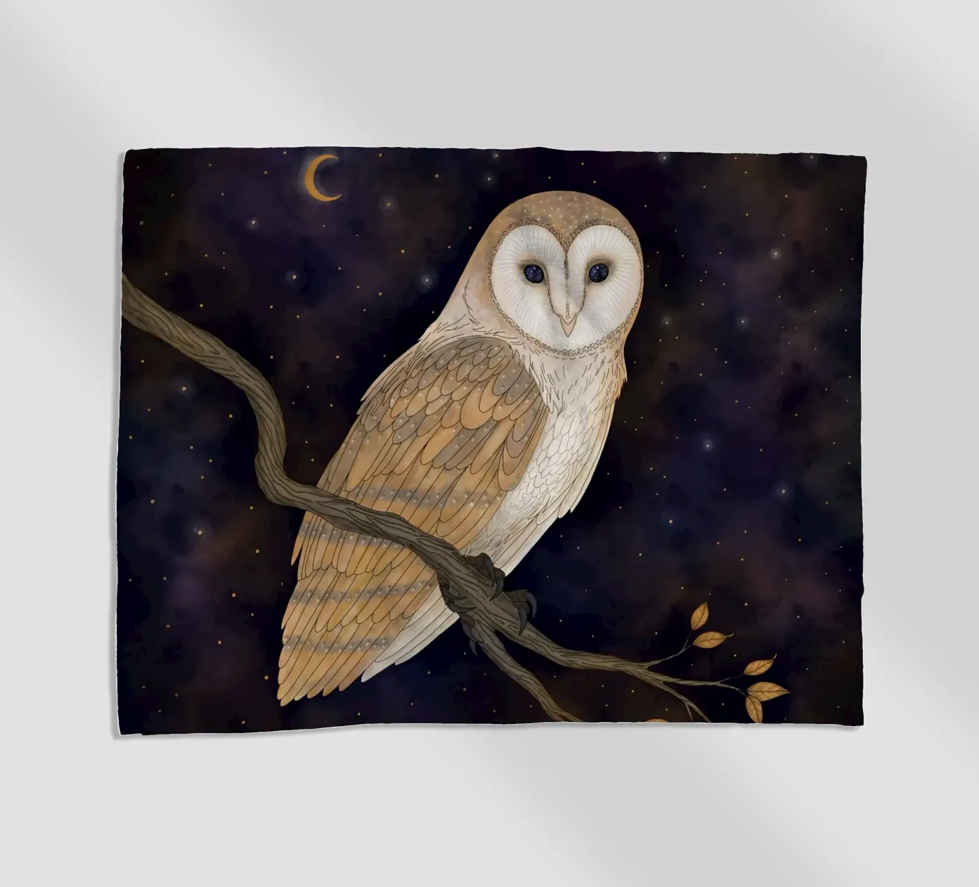 Barn Owl telo mare da Vivi Nicolin