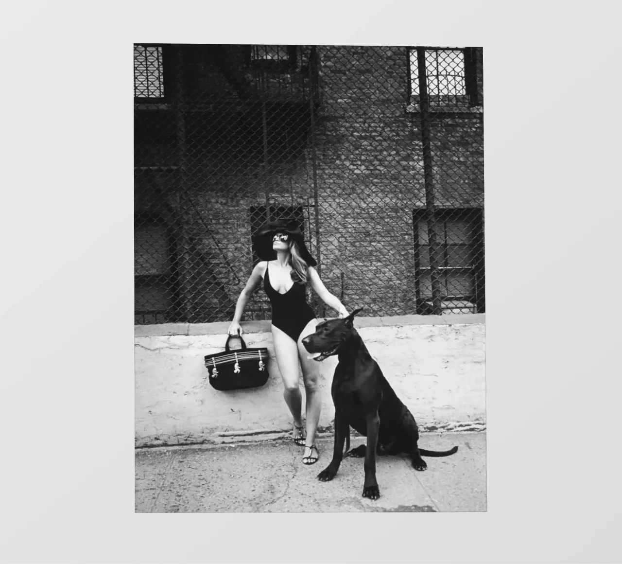 Cindys mit schwarzem Hund Fototapete von Takeme